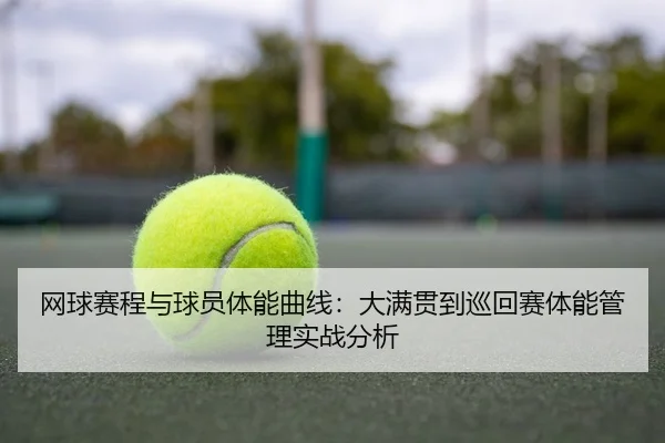 wang-qiu-sai-cheng-yu-qiu-yuan-ti-neng-qu-xian-da-man-guan-dao-xun-hui-sai-ti-neng-guan-li-shi-zhan-fen-xi-2-899.jpg